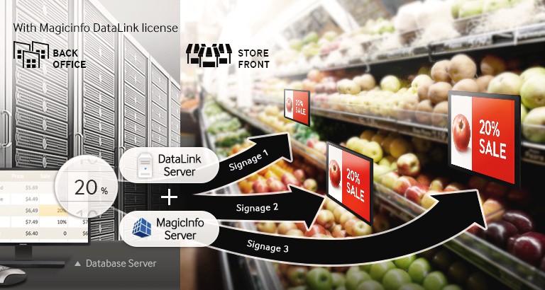 Multi-Display Content Through Data Server Compatibility