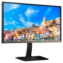 Samsung S27D850T - Samsung WQHD 27" LED Monitor Left Perspective View